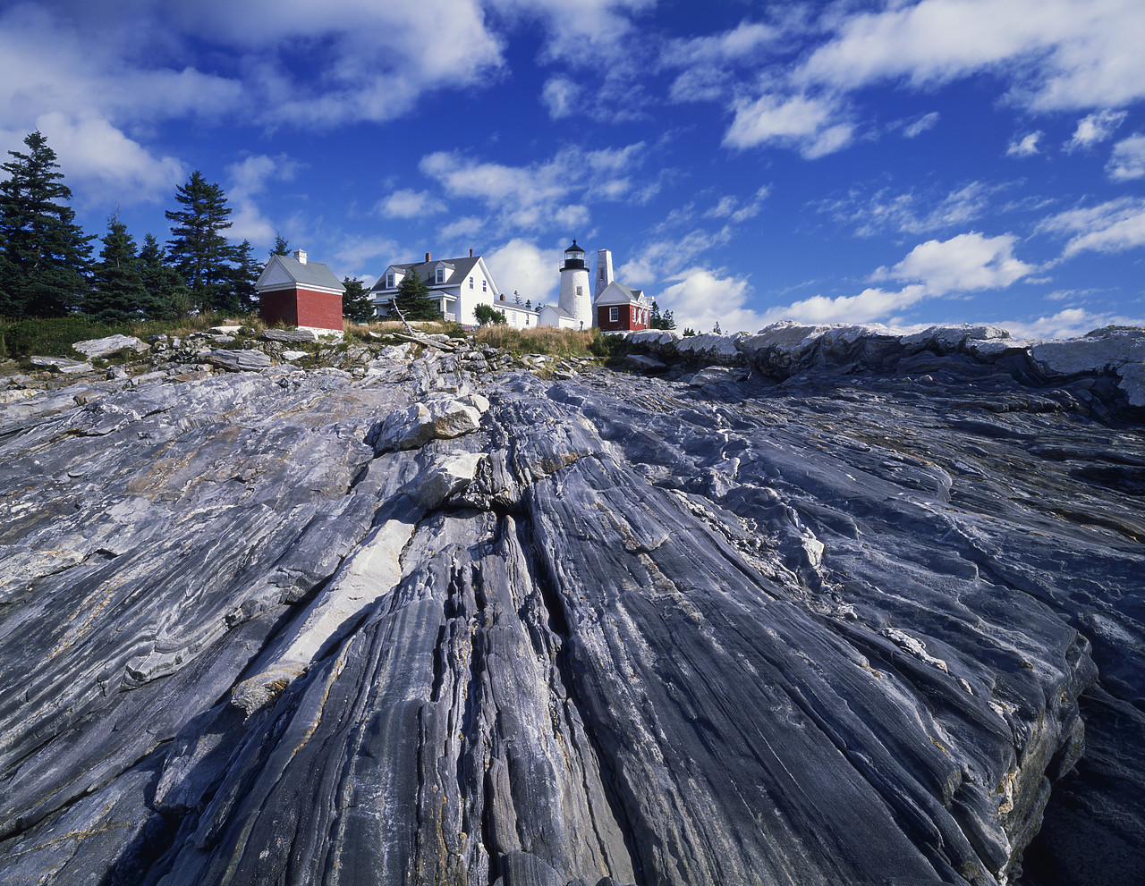 #903113-1 - Rock Striations at Pemaquid Lighthouse, Maine, USA