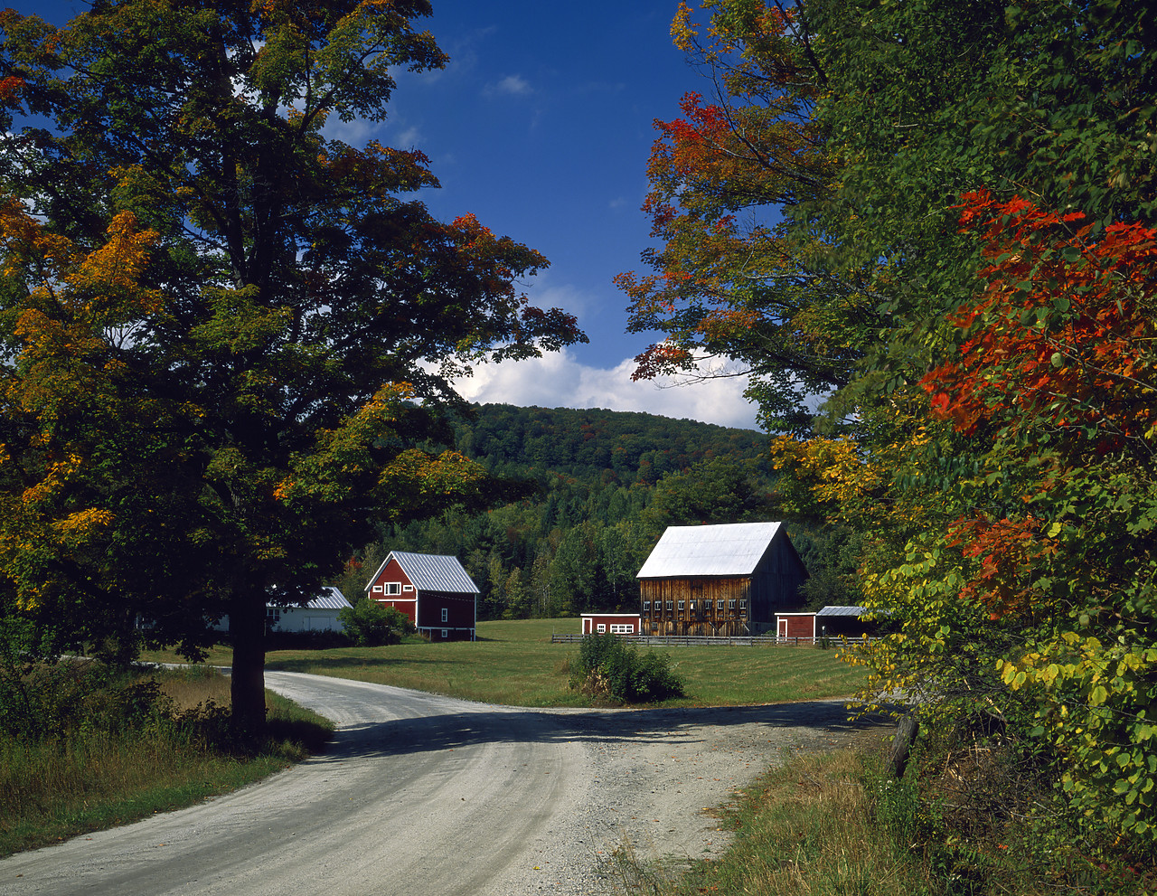 #903190 - Farm near East Orange in Autumn, Vermont, USA