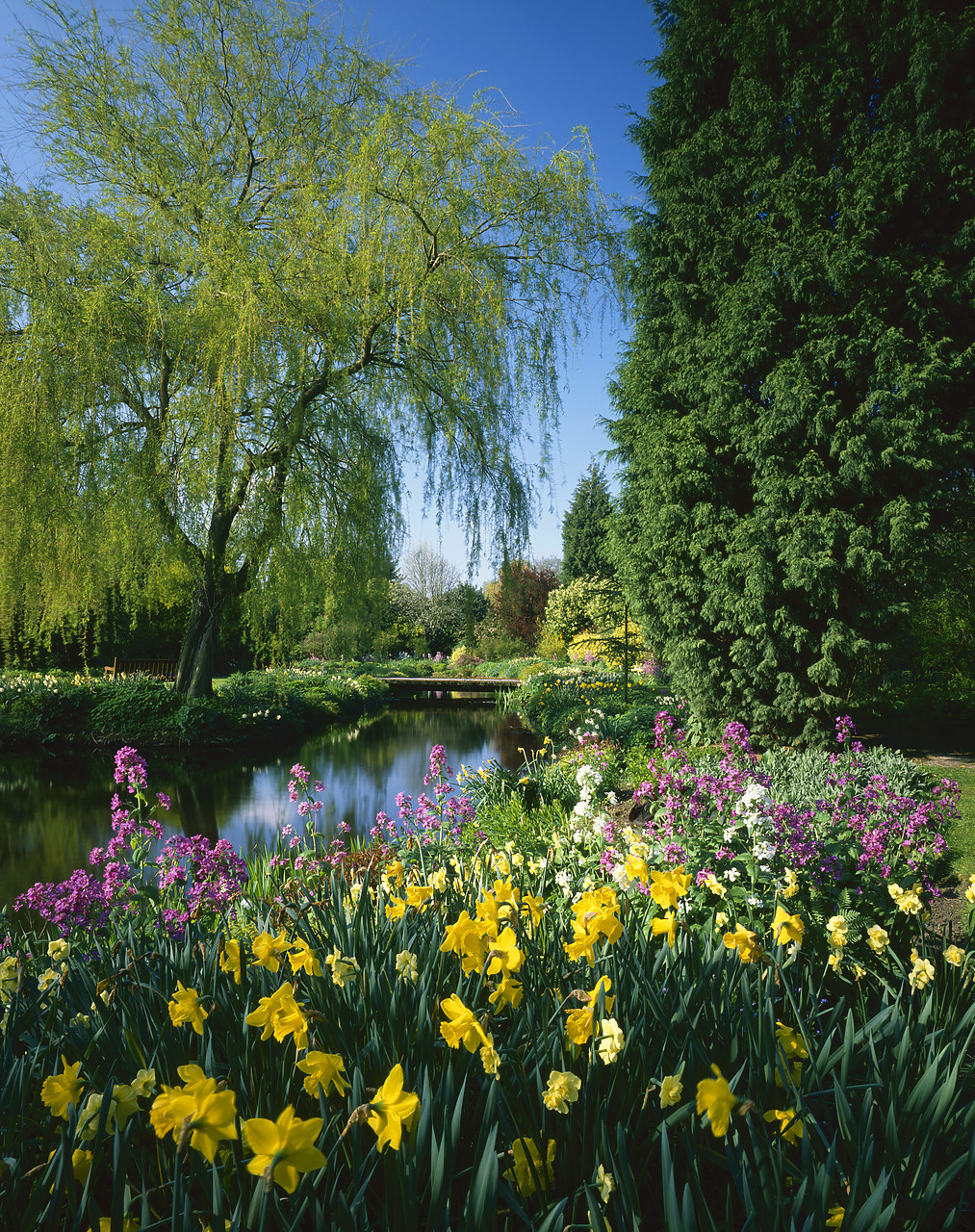 #913345-2 - Gooderstone Water Gardens, Norfolk, England