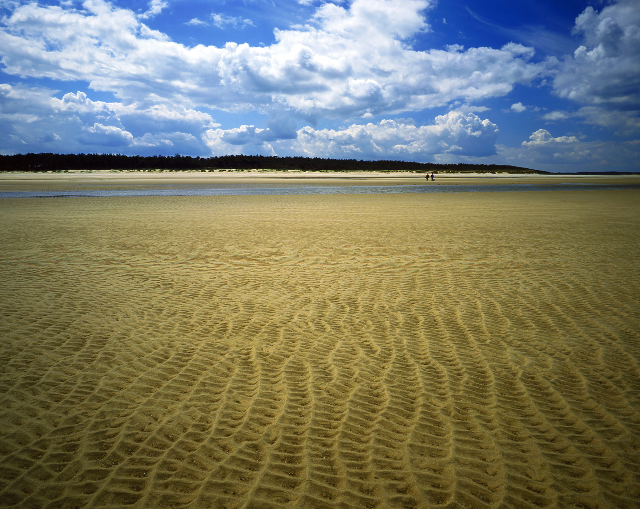 #913423-1 - Sand Patterns on Wells Beach, Norfolk, England