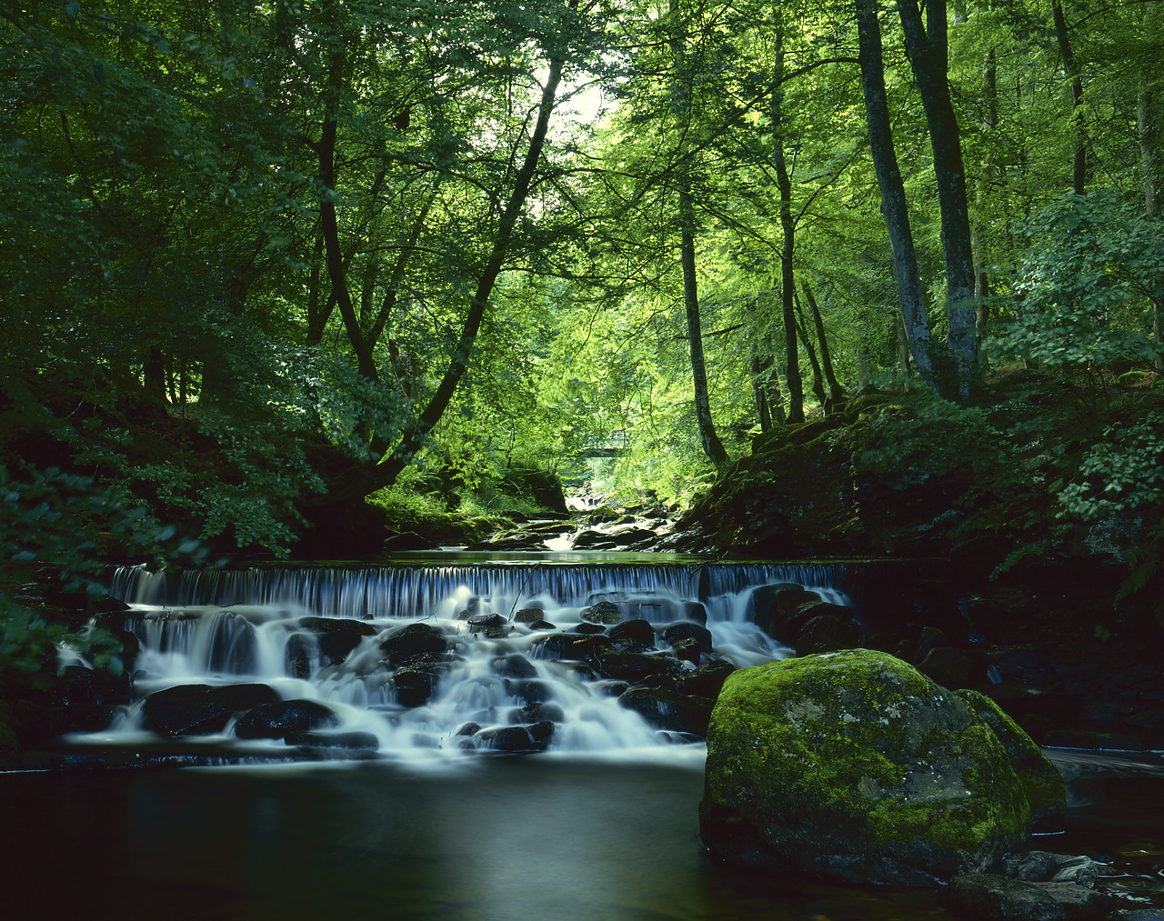 #913594 - "The Birks", Aberfeldy, Tayside Region, Scotland