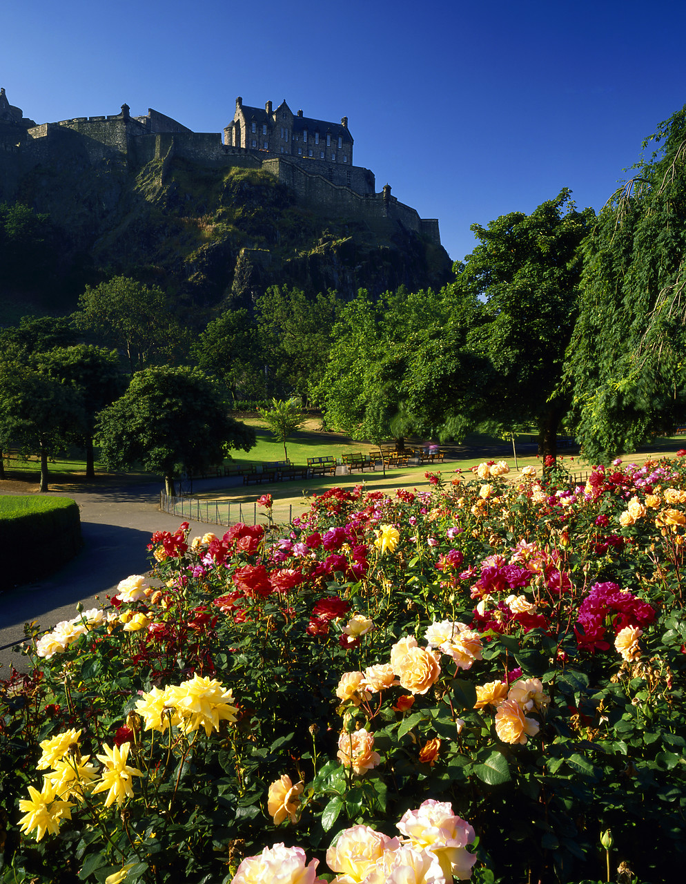 #913669-3 - Edinburgh Castle with Rose Garden, Edinburgh, Lothian Region, Scotland