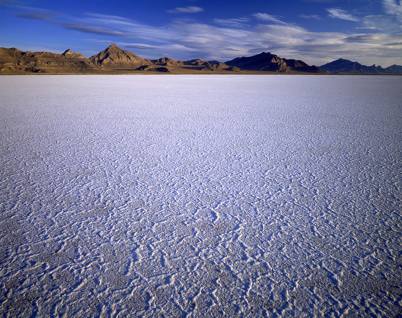 #913801-1 - The Great Salt Lake Desert, near  Wendover, Utah, USA