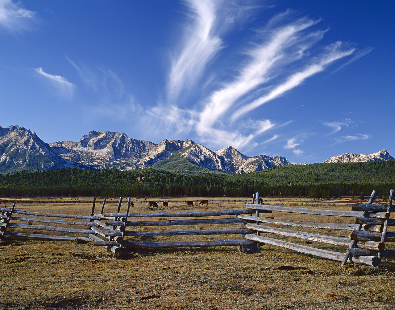 #913844-2 - Cirrus Clouds over Sawtooth Mountains, near Stanley, Idaho, USA