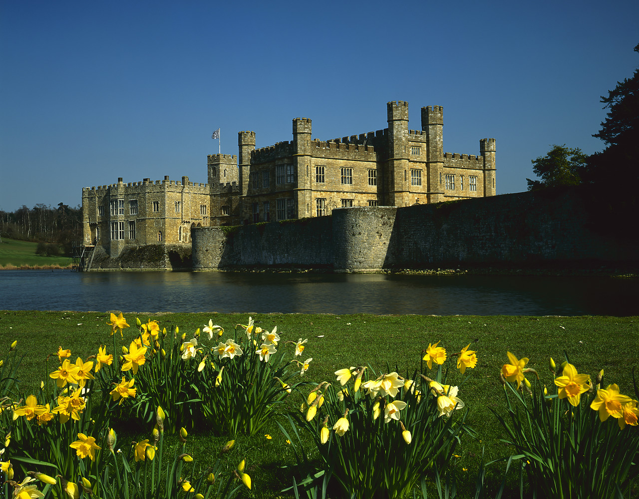 #923955 - Leeds Castle in Spring, Leeds, Kent, England