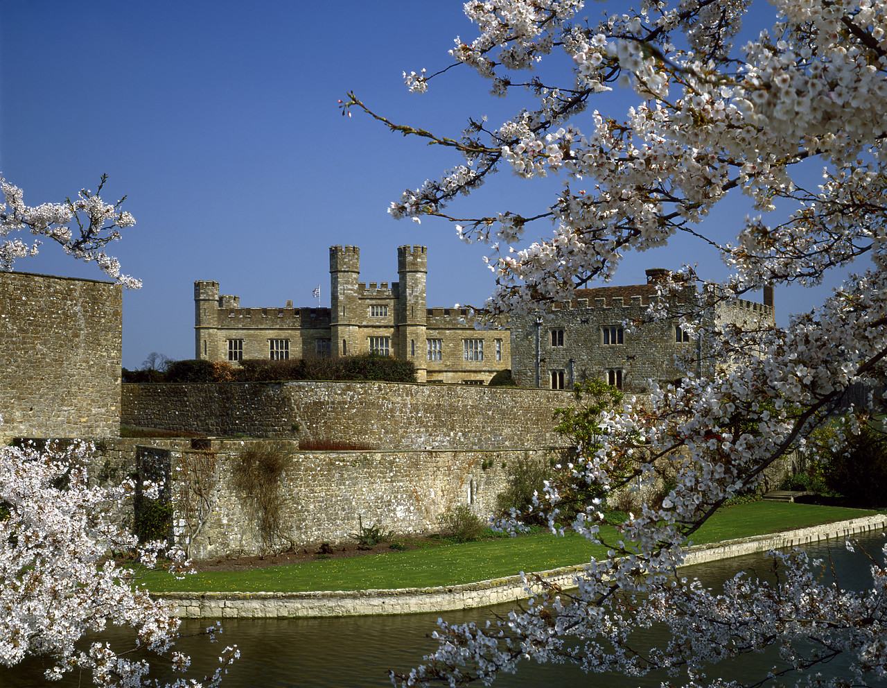 #923956-1 - Leeds Castle in Spring, Leeds, Kent, England