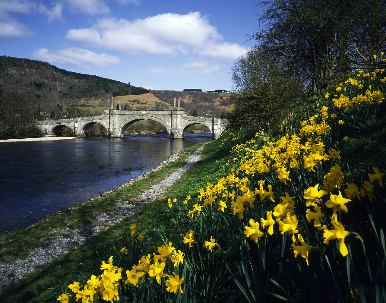 #923962-2 - General Wade's Bridge in Spring, Aberfeldy, Perthshire, Scotland