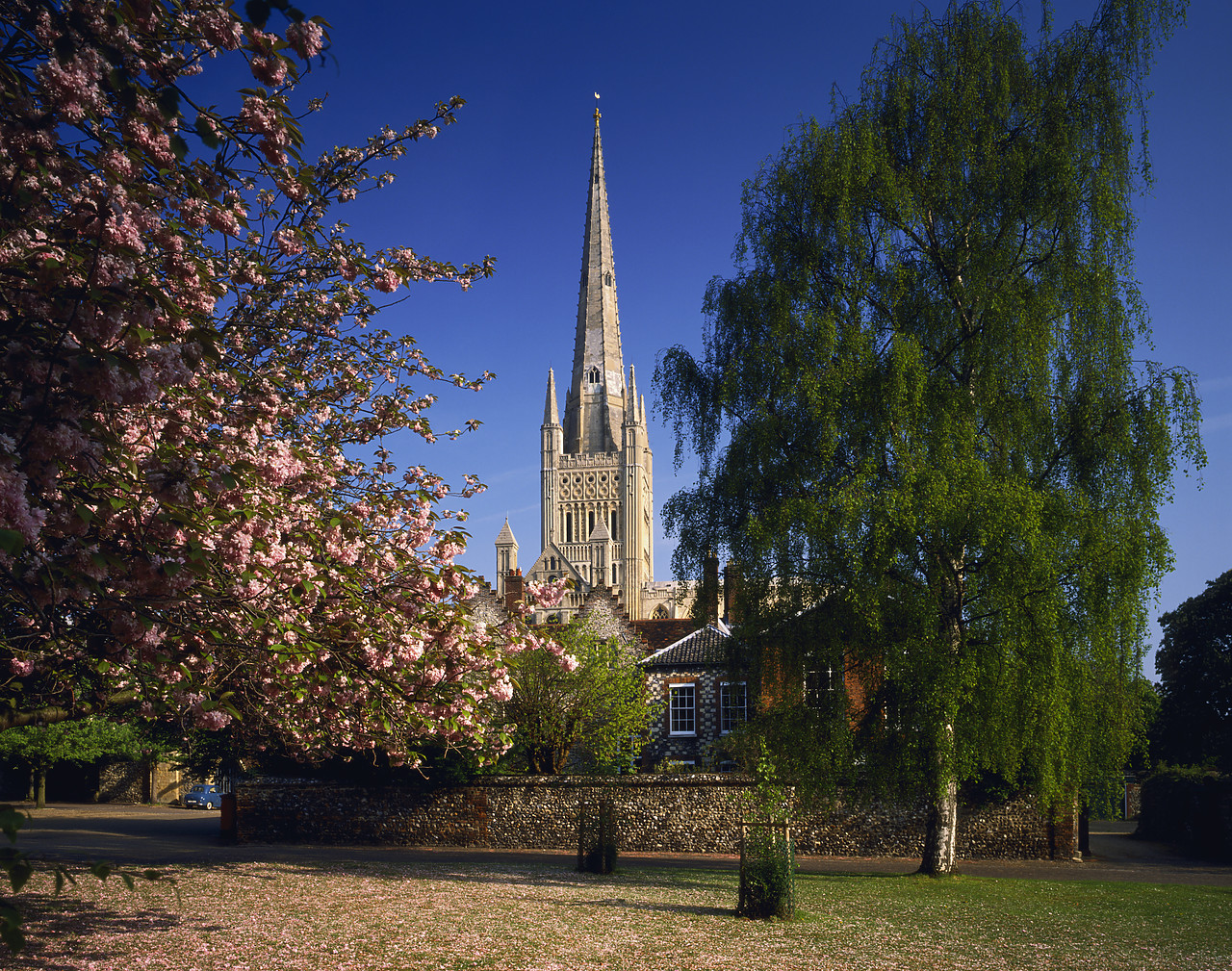 #923975-1 - Norwich Cathedral in Spring, Norfolk, England