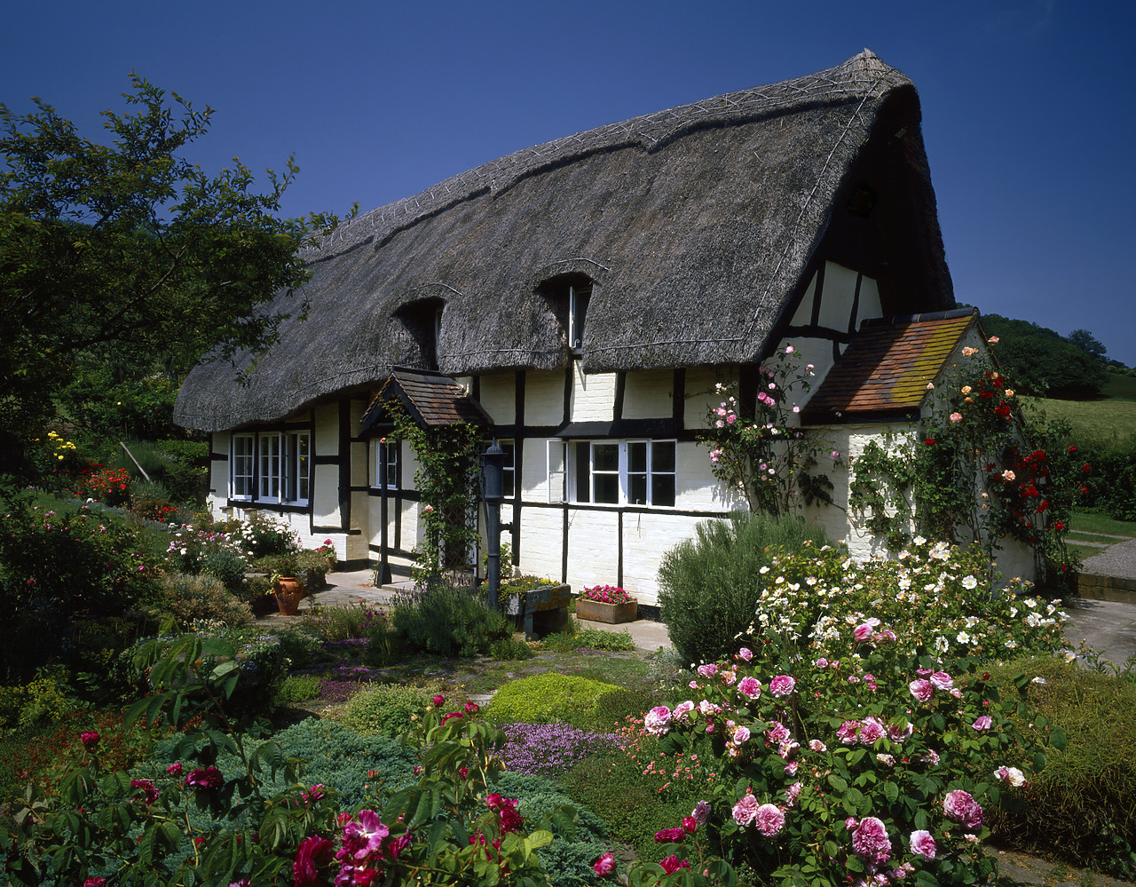 #924021-1 - Thatched Cottage & Garden, Eastnor, Herefordshire, England