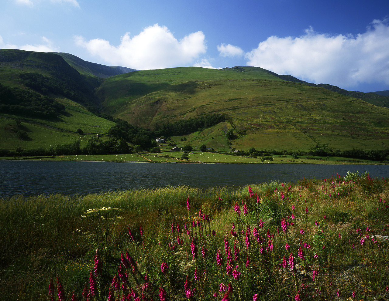 #924036-1 - Tal-y-llyn Lake, Gwynedd, Wales