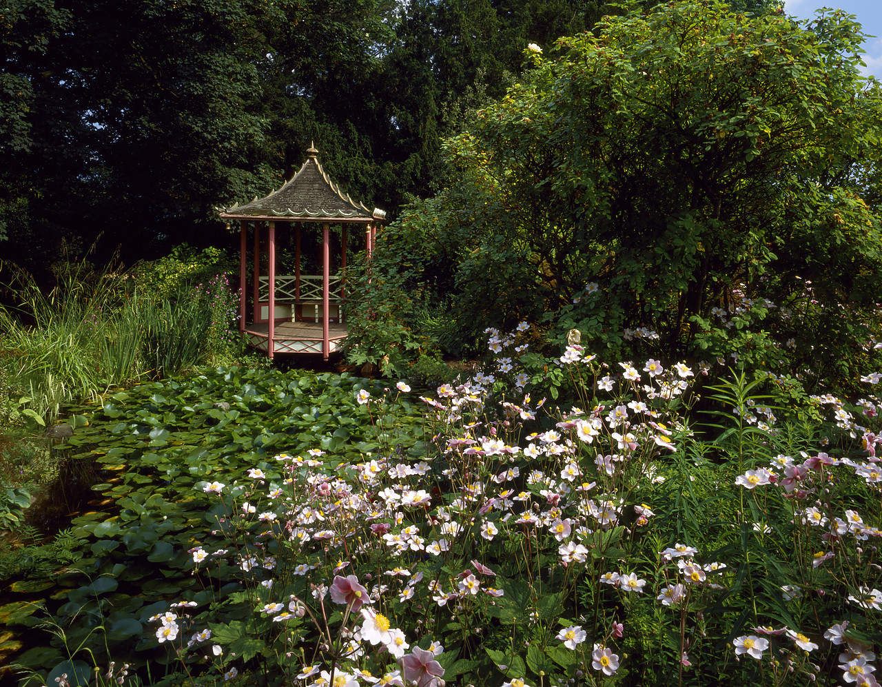 #924050-1 - Water Garden & Gazebo, Hill Court Gardens, Herefordshire, England