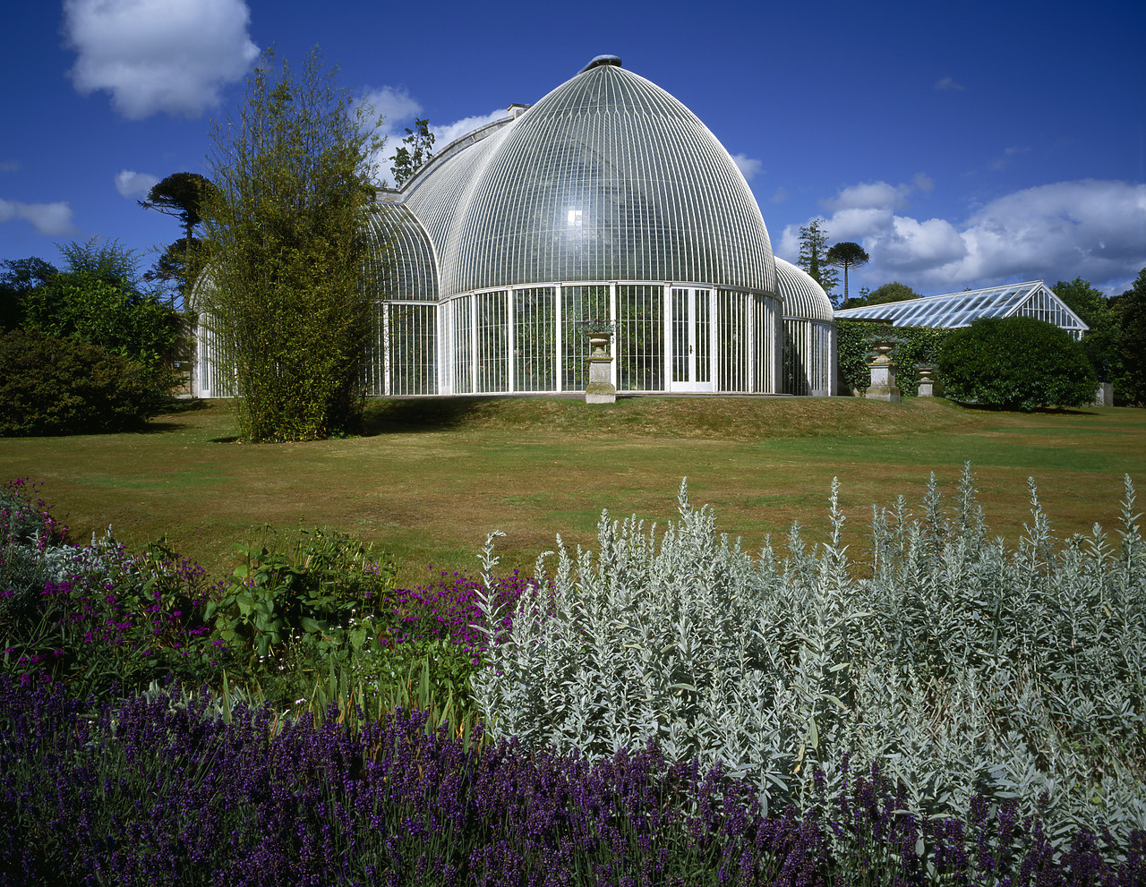 #924072 - Palm House, Bicton Park Gardens, Devon, England