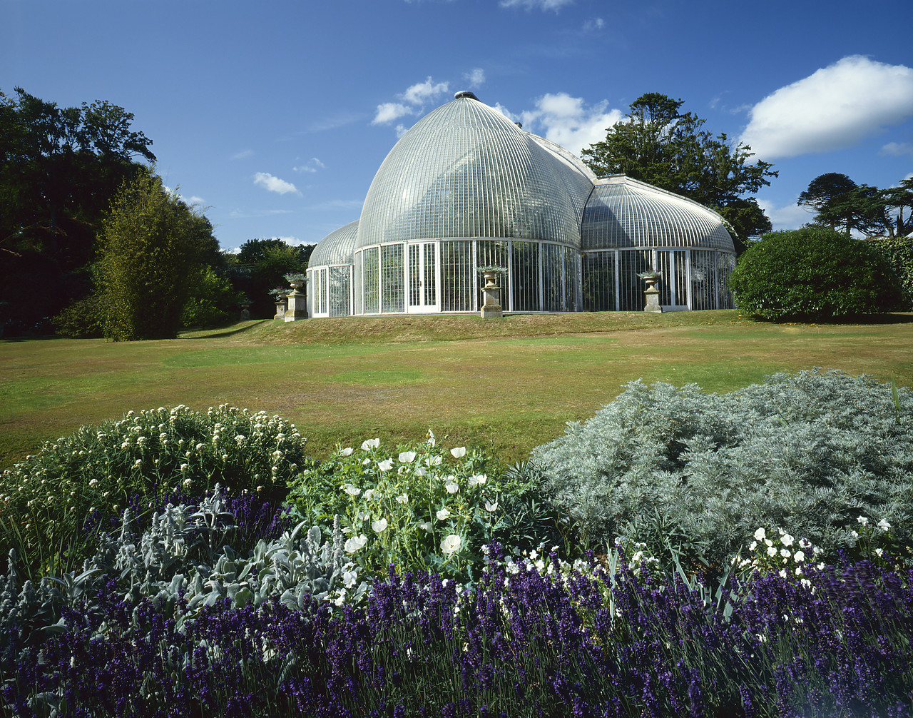 #924073-1 - The Palm House, Bicton Park Gardens, East Budleigh, Devon, England