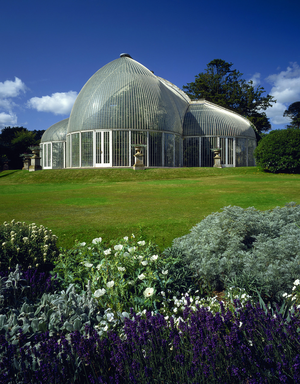 #924073-4 - The Palm House at Bicton Park, Gardens, East, Devon, England