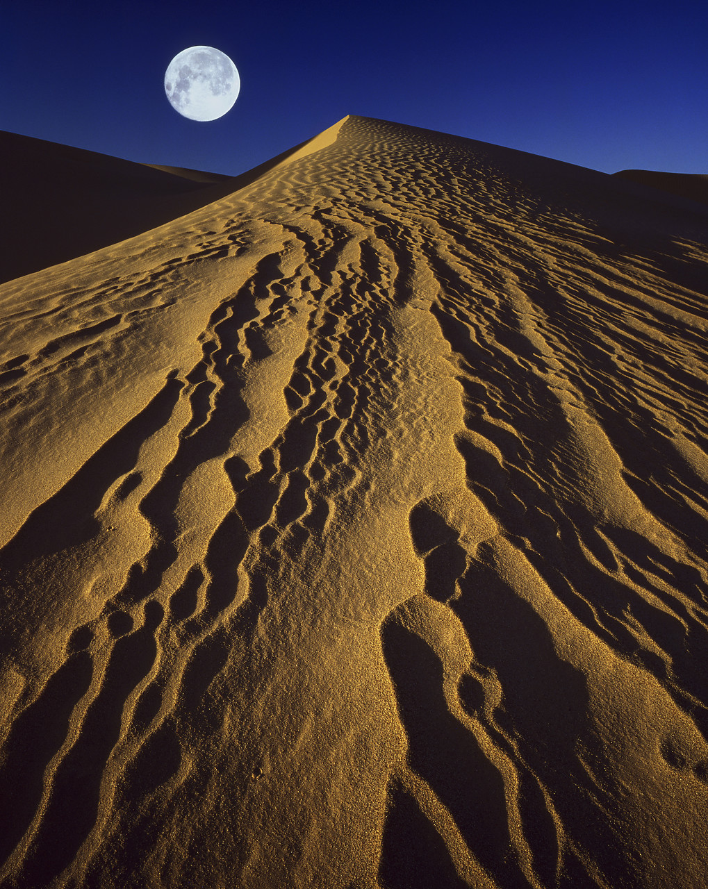 #924098-1 - Full Moon over Sand Dune, near Yuma, Arizona, USA
