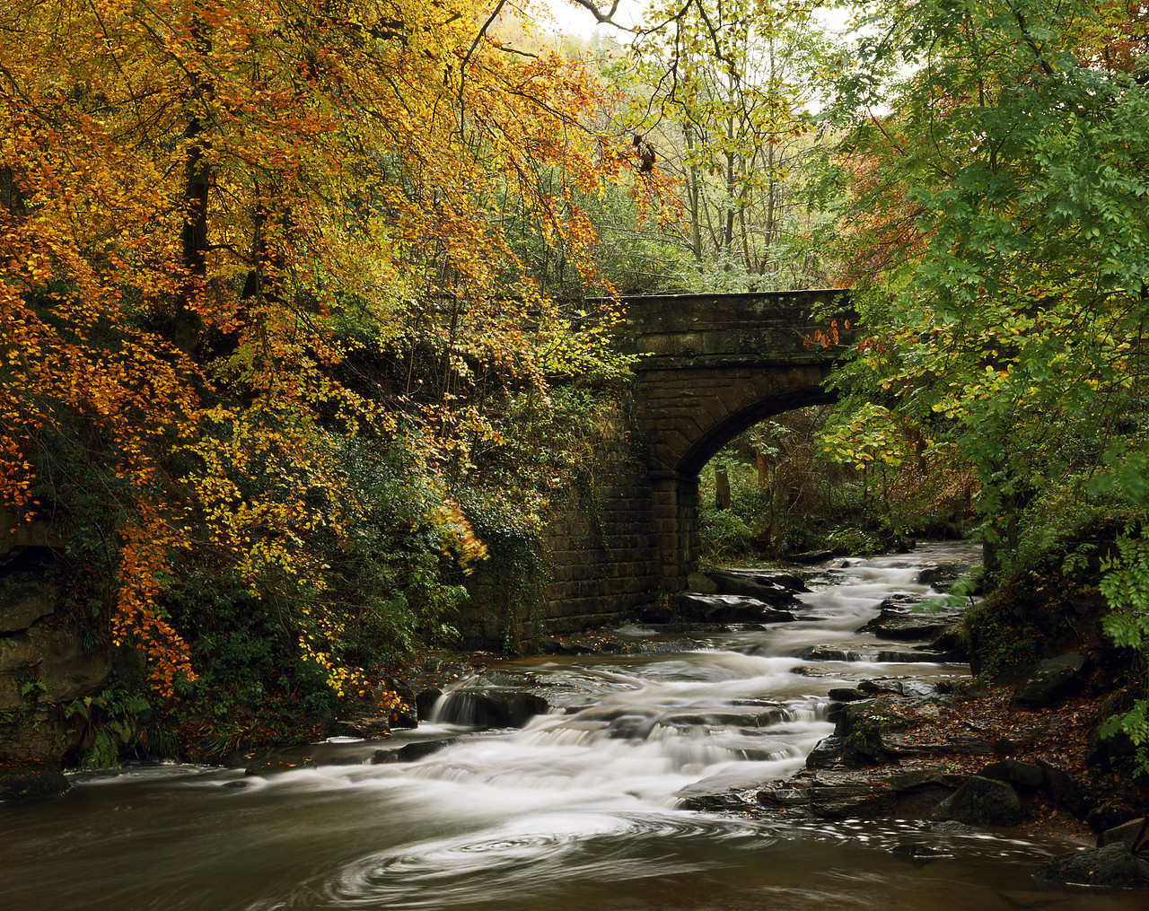 #924116 - Bridge over May Beck in Autumn, near Sneaton, North Yorkshire, England