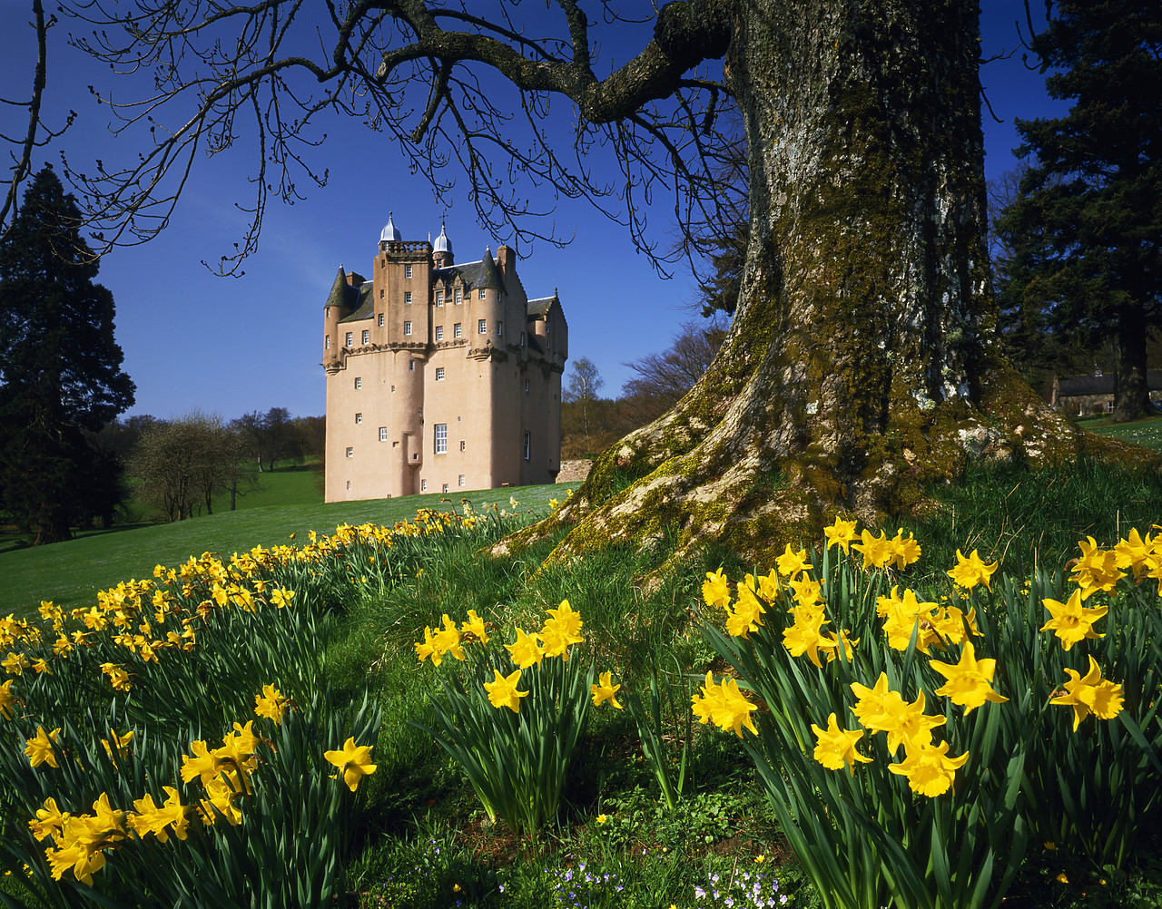 #934210-3 - Craigievar Castle in Spring, Near Alford, Grampian Region, Scotland