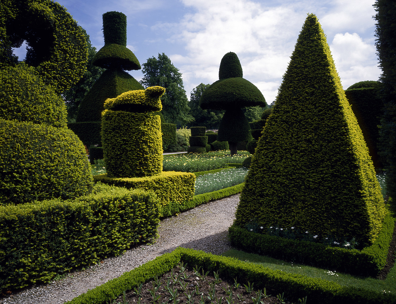 #934287 - Topiary Gardens, Levens Hall, Cumbria, England