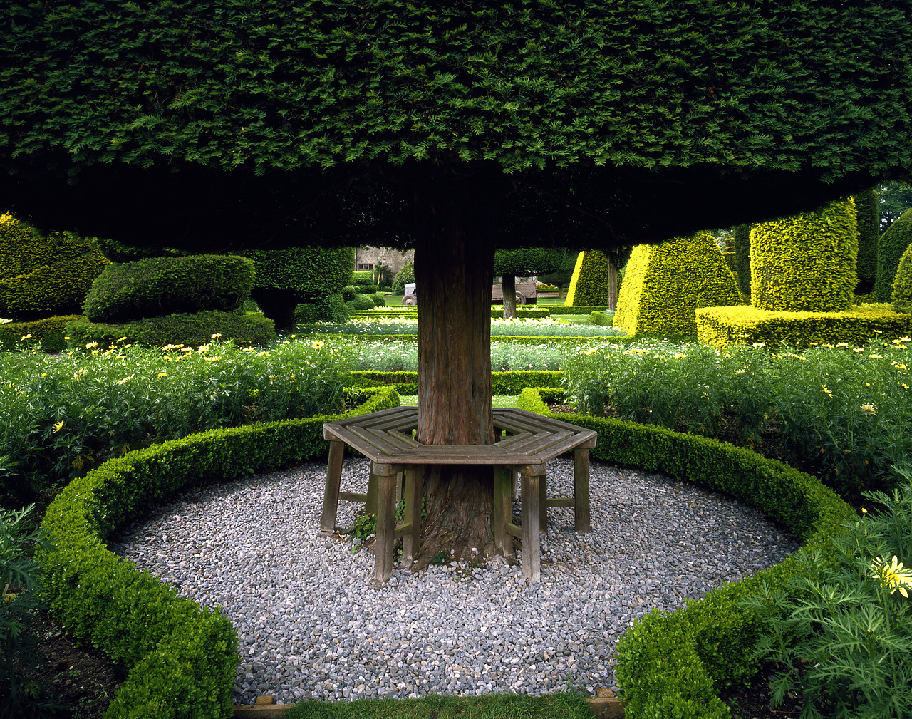 #934288 - Topiary Garden Tree Seat, Levens Hall, Cumbria, England