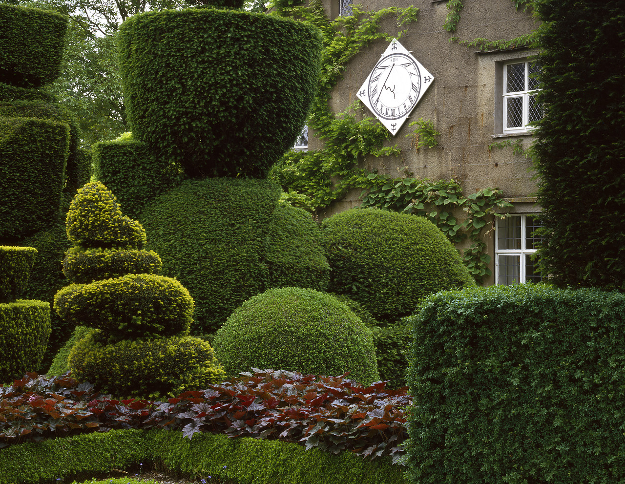 #934295-1 - Topiary Gardens, Levens Hall, Cumbria, England