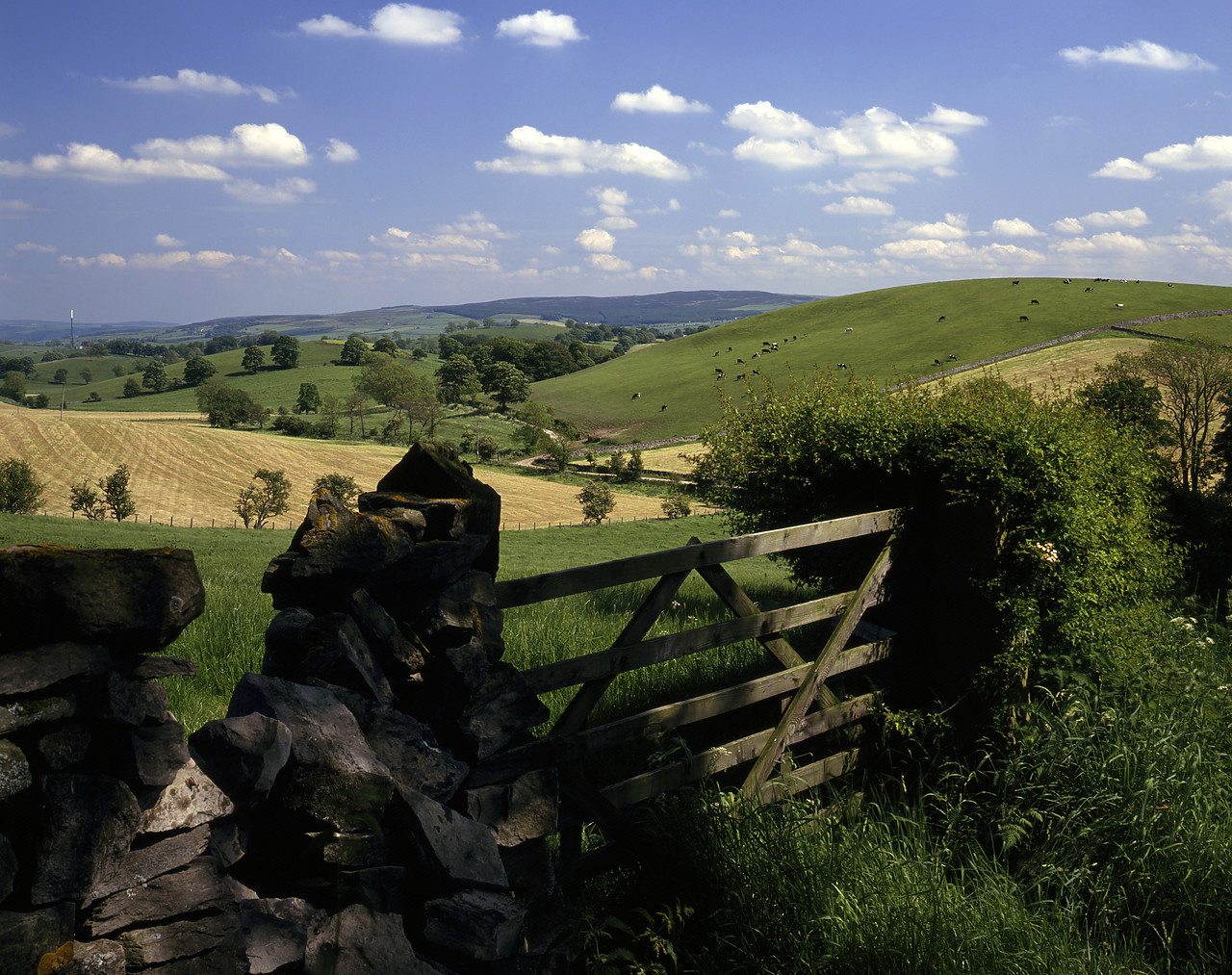 #934302-1 - Gate & Countryside, near West Marton, North Yorkshire, England