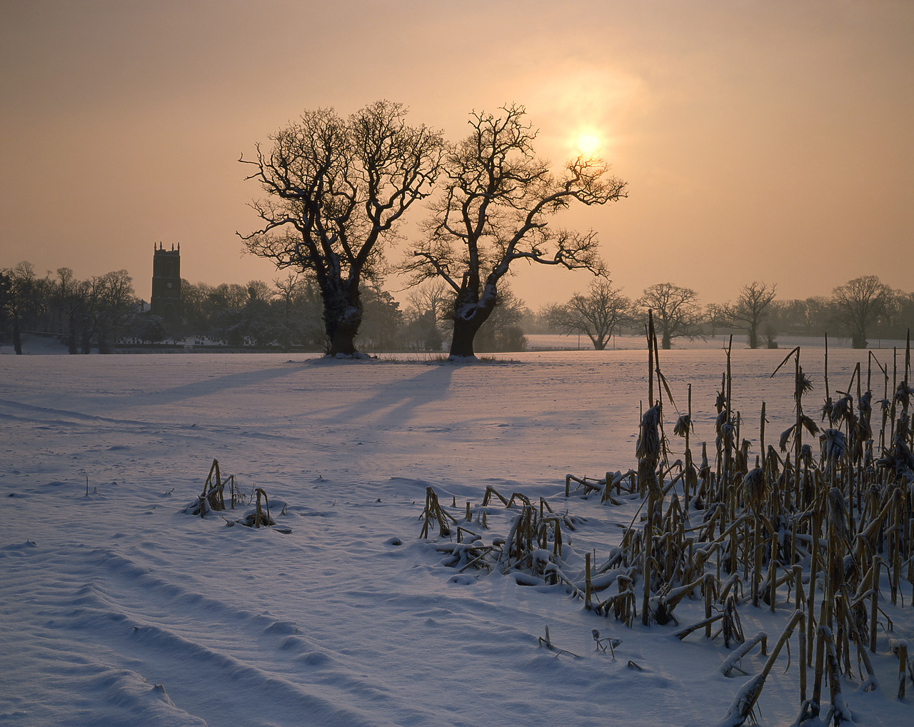 #934493-1 - Sunrise over Winter Landscape, Ditchingham, Norfolk, England