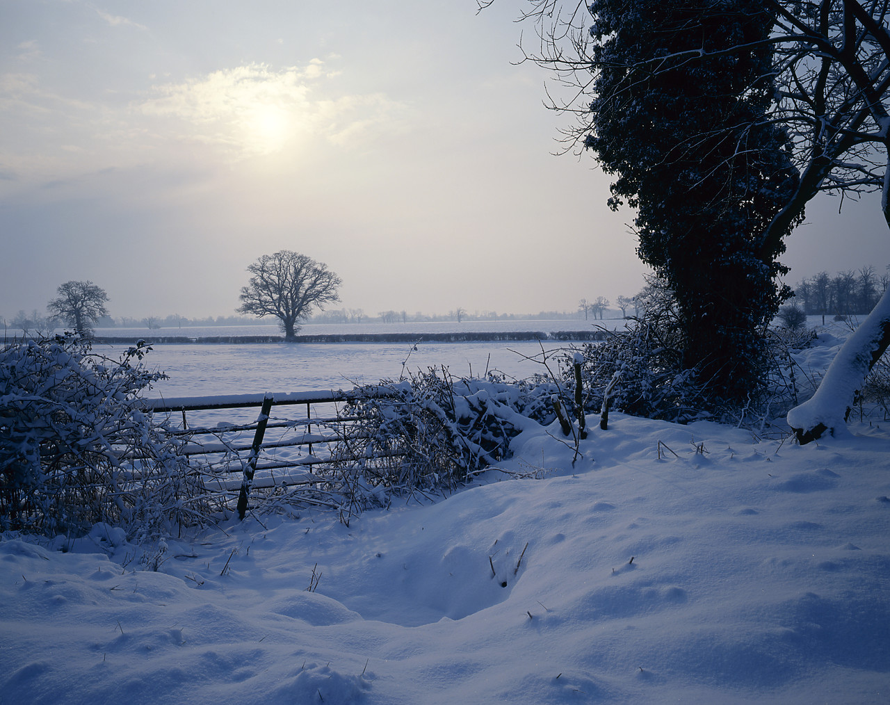 #934494-1 - Winter Landscape, Brooke, Norfolk, England