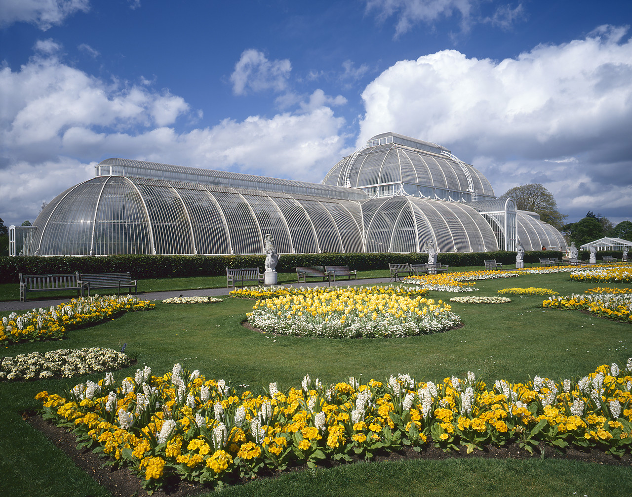 #944551-1 - Victorian Palm House, Kew Gardens, London, England