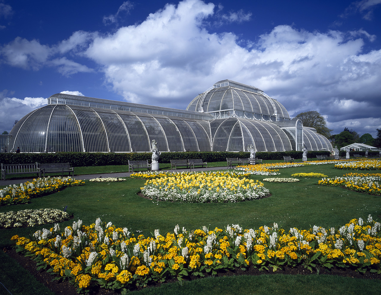 #944551-3 - Victorian Palm House, Kew Gardens, London, England
