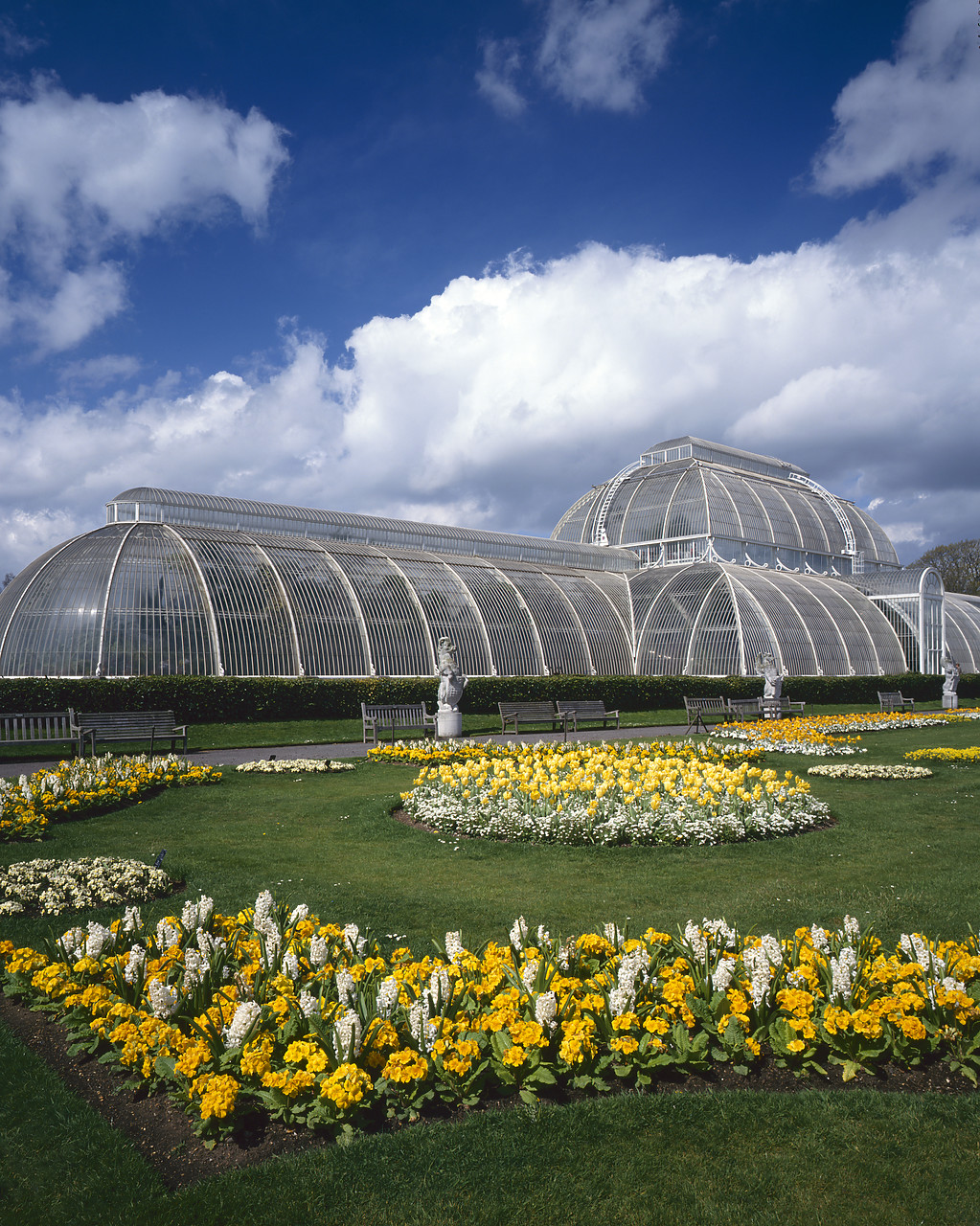 #944551-5 - Victorian Palm House, Kew Gardens, London, England