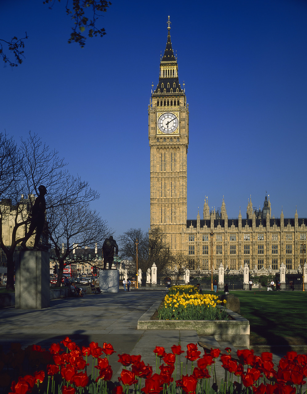#944552-1 - Big Ben in Spring, London, England