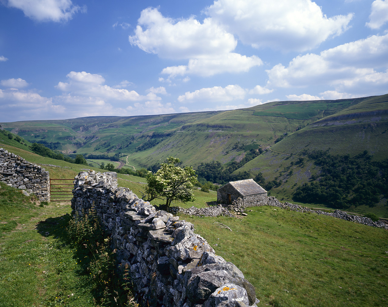 #944627-1 - Countryside above Muker, Swaledale, North Yorkshire, England