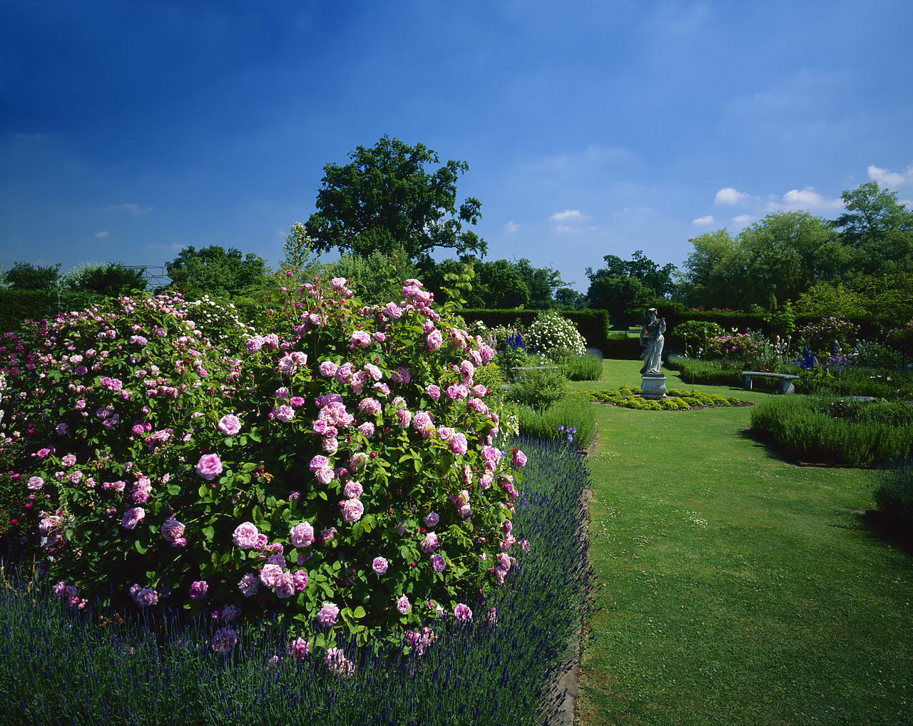 #944696-2 - Helmingham Hall Gardens, Helmingham, Suffolk, England