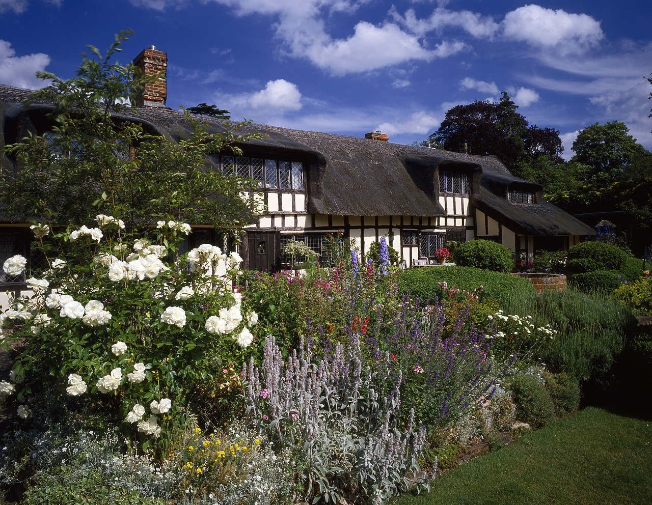 #944725-1 - Thatched Cottage & Garden, Dedham, Essex, England
