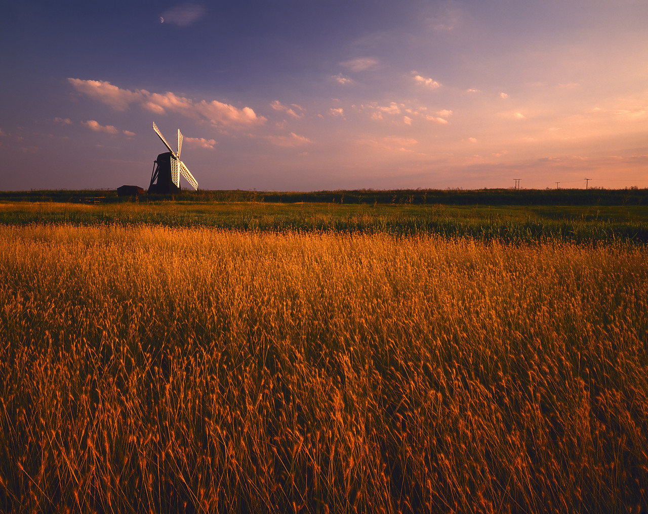 #944731-4 - Herringfleet Mill, Herringfleet, Suffolk, England