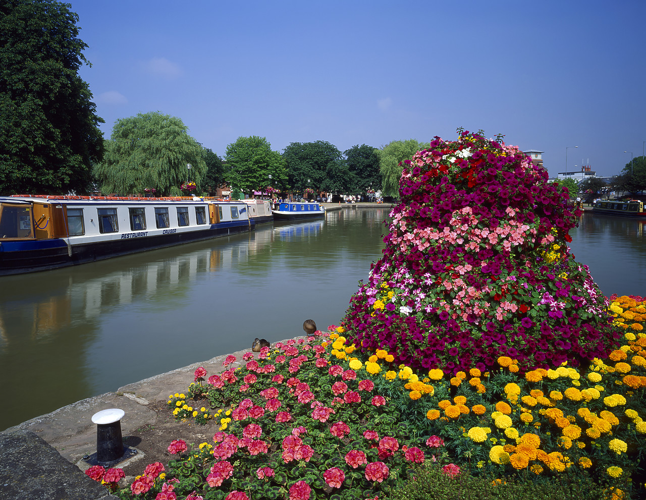 #944809-2 - Flower Bed & Canal Boats, Stratford-upon-Avon, Warwickshire, England