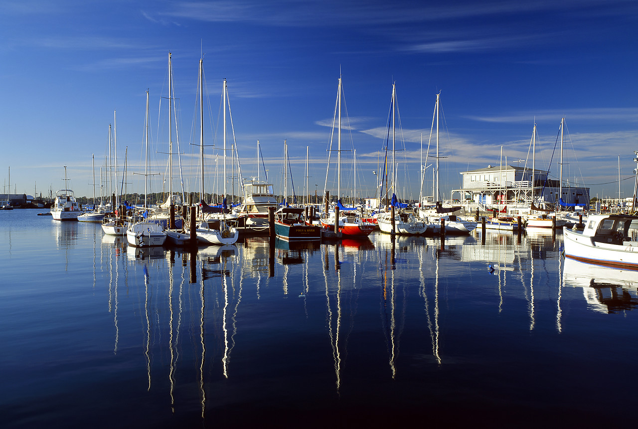 #944903-3 - Sailboats Reflecting in Harbour, Newport, Rhode Island, USA