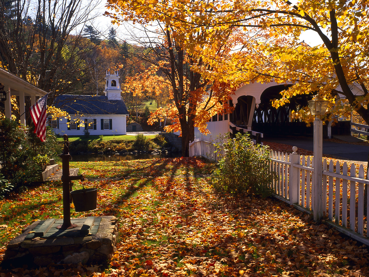 #944999-2 - Stark in Autumn, New Hampshire, USA