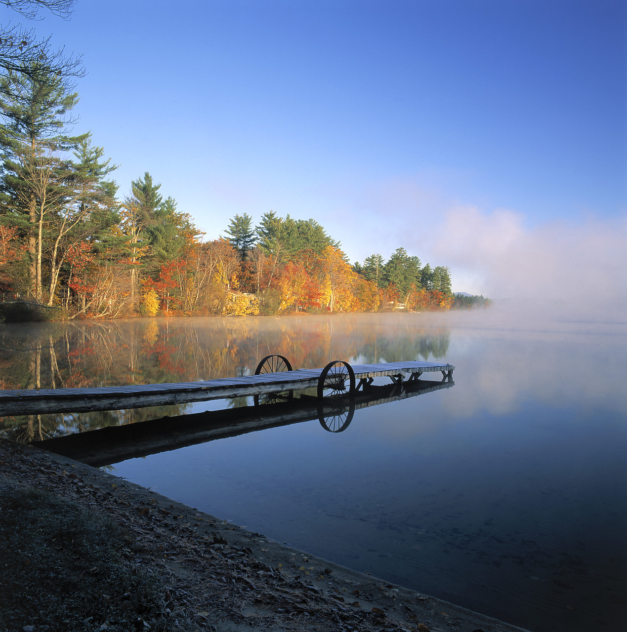 #945047-4 - Mist on Songo Pond in Autumn, Bethel, Maine, USA