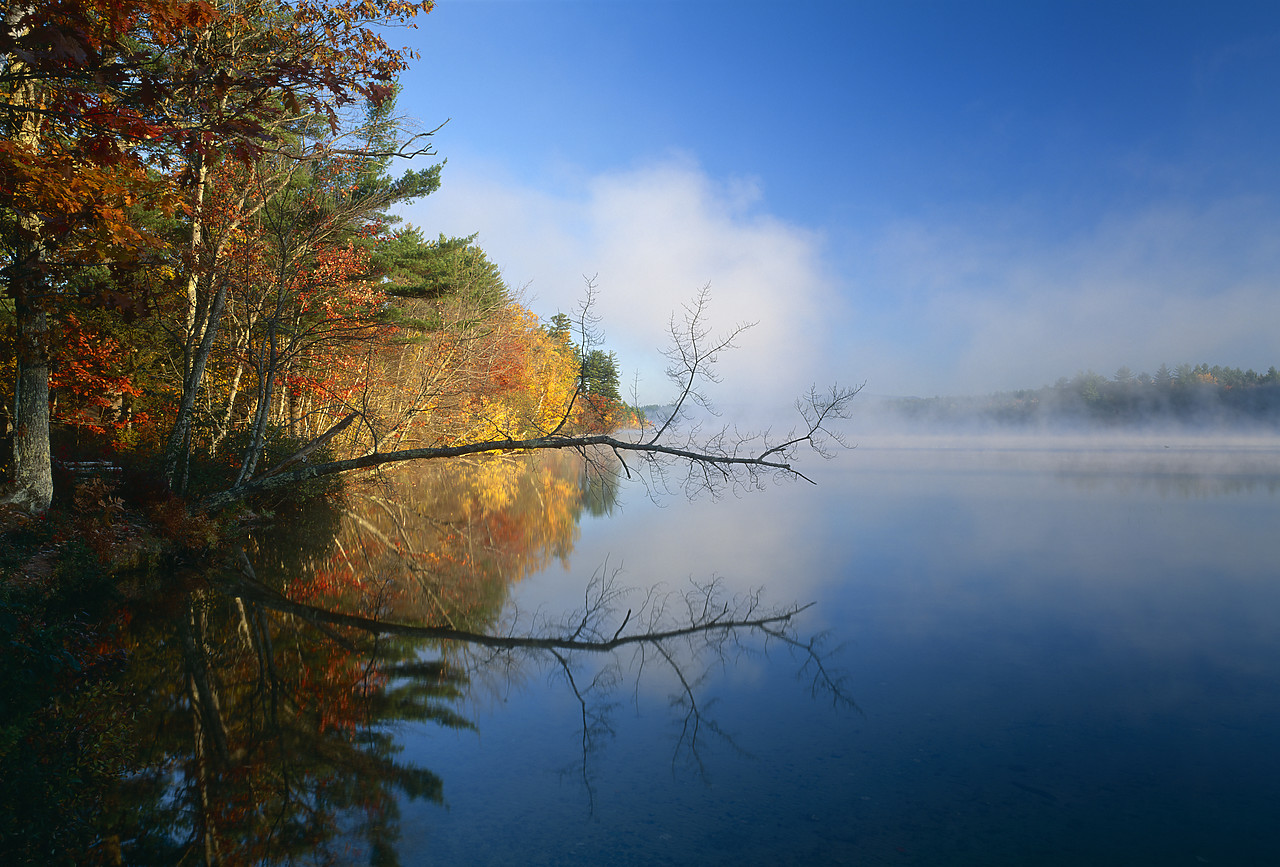 #945049-1 - Mist on Songo Pond, Bethel, Maine, USA