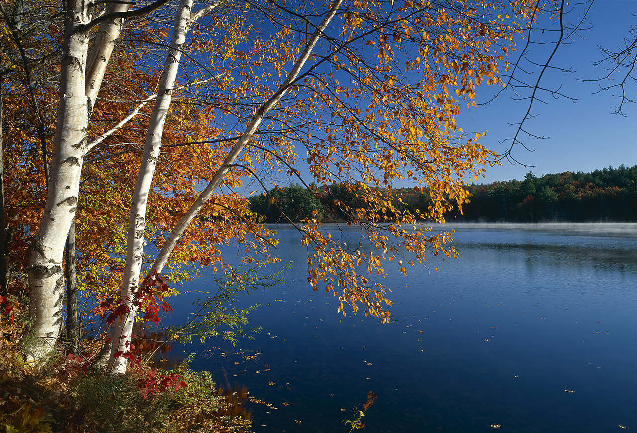 #945054-1 - Songo Pond in Autumn, Bethel, Maine, USA