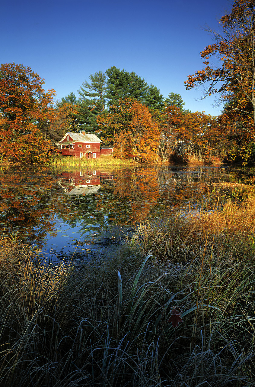 #945070-1 - Red House Reflecting In Pond, Bryant Pond, Maine, USA