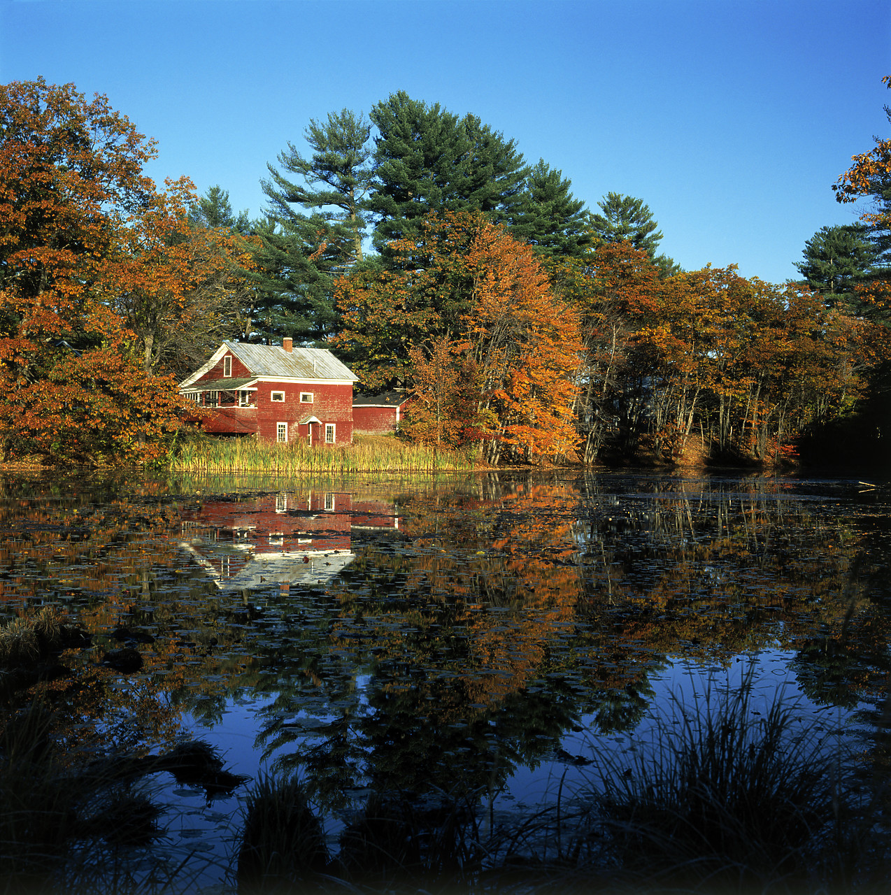 #945070-4 - Red House Reflecting in Pond, Bryant Pond, Maine, USA