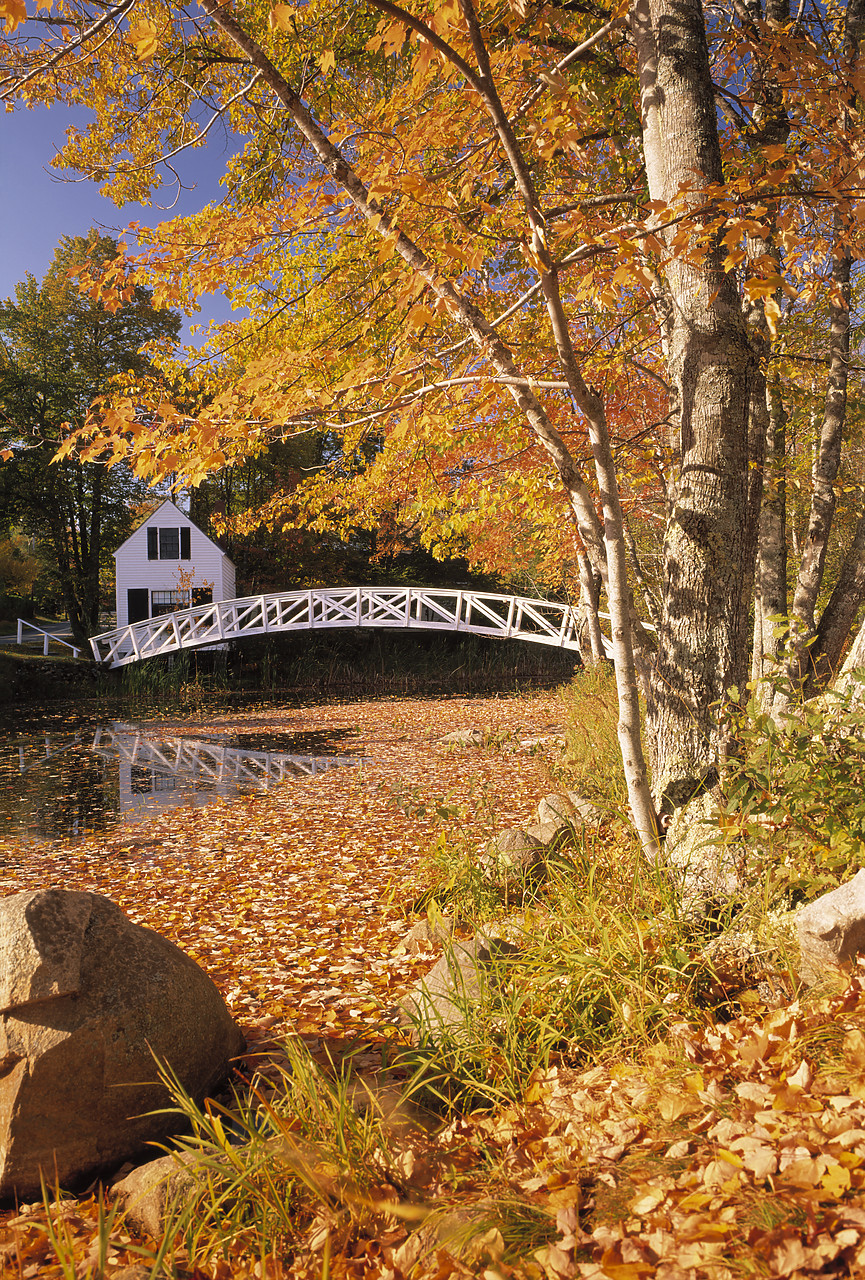 #945081-1 - Cottage & Bridge In Autumn, Somesville, Maine, USA