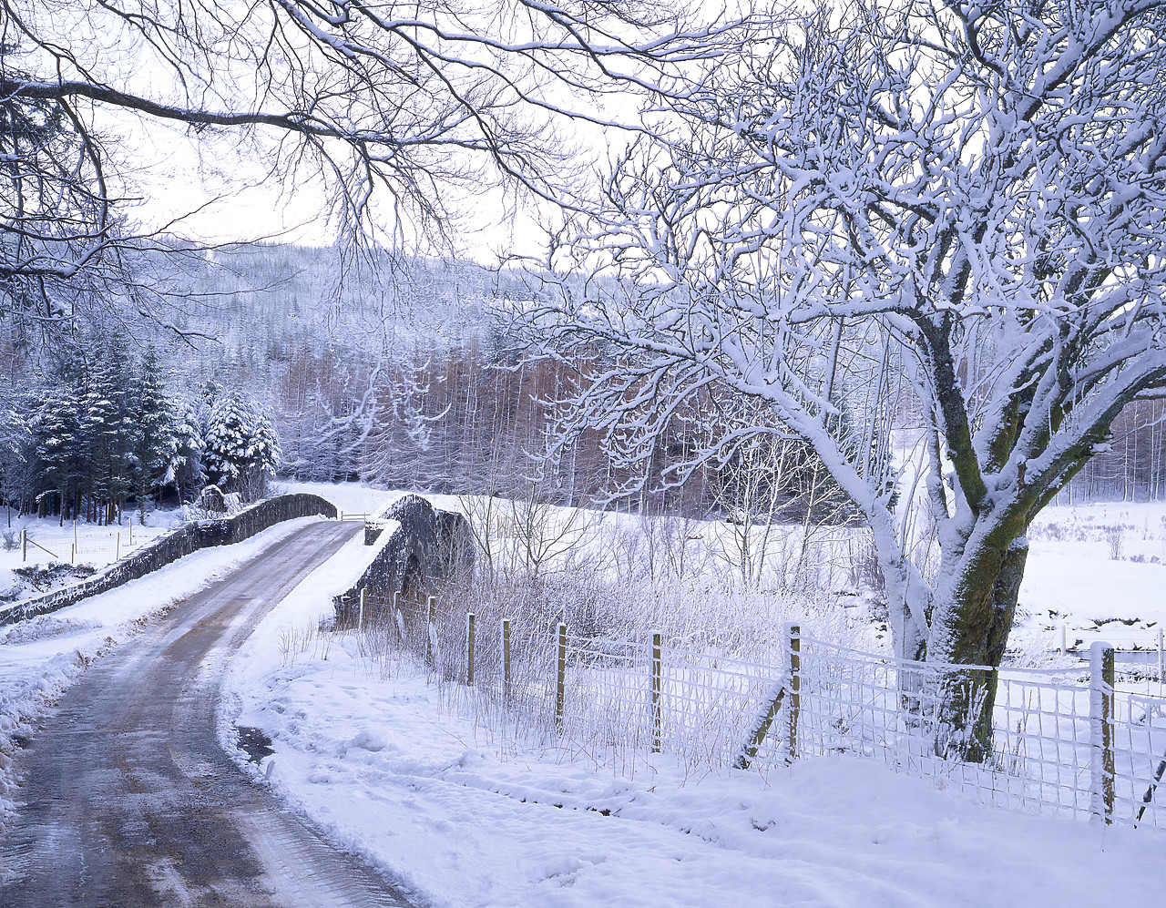 #955267-2 - Country Lane & Bridge in Winter, Bridge Of Orchy, Strathclyde, Scotland
