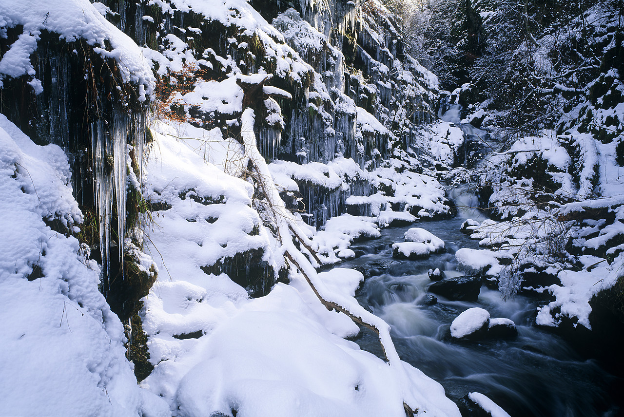 #955275-7 - The Birks of Aberfeldy in Winter, Tayside Region, Scotland