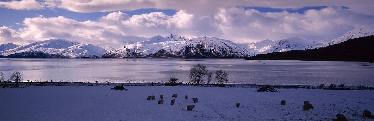 #955285-2 - Loch Linnhe in Winter, North Ballachulish, Highland Region, Scotland