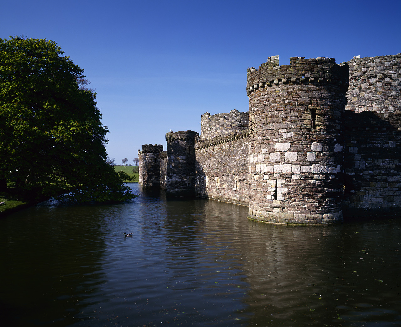 #955317-1 - Beaumaris Castle, Anglesey, Wales