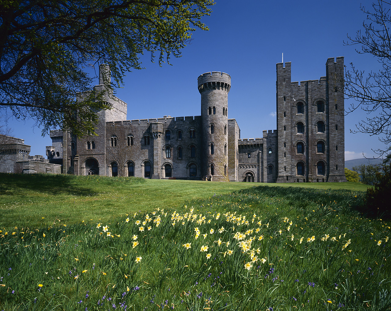 #955318-3 - Penrhyn Castle in Spring, Bangor, Wales