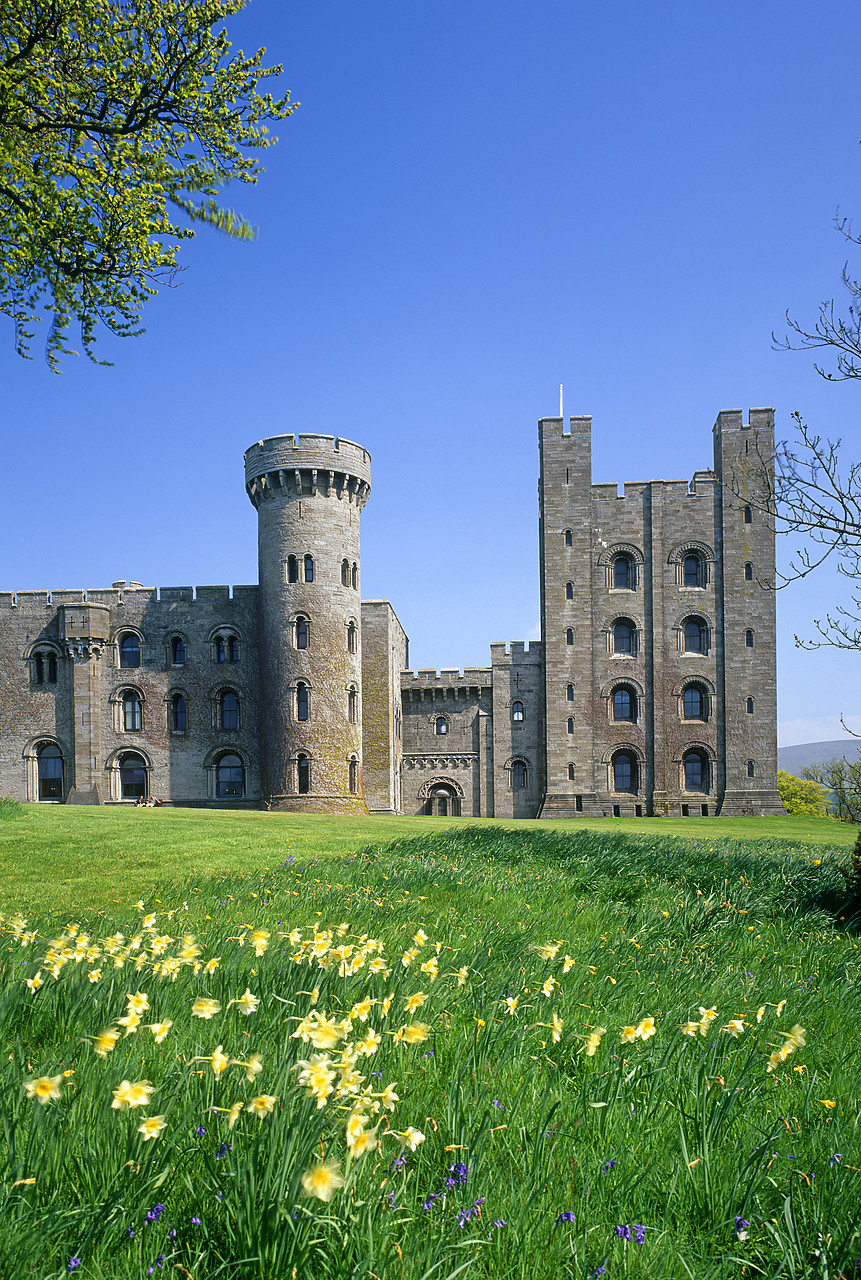 #955318-8 - Penrhyn Castle in Spring, Bangor, Gwynedd, Wales